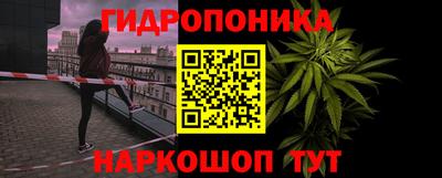 соль ск Славгород