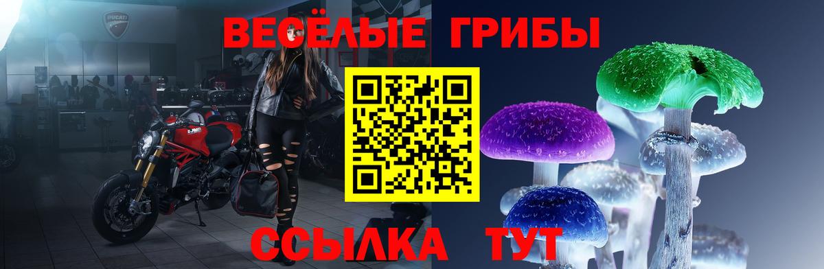 Отрадный  Псилоцибиновые грибы прущие грибы  Вход с VPN 